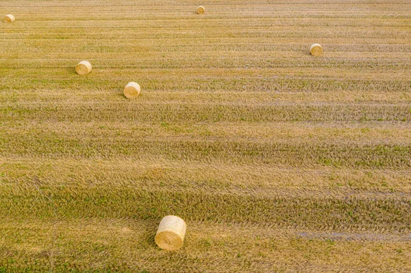 Vista Superior Fardos Heno Campo Agrícola Después Cosecha Con Rollos —  Fotos de Stock