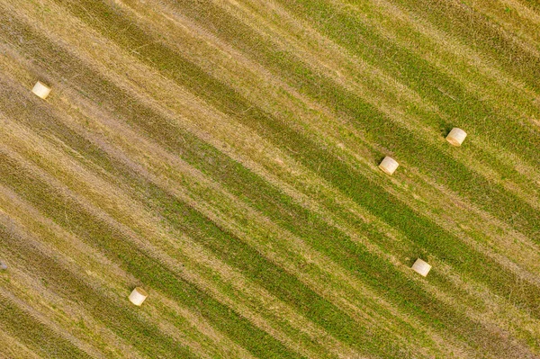 Верхний Вид Тюков Сена Поле Сельского Хозяйства После Сбора Урожая — стоковое фото