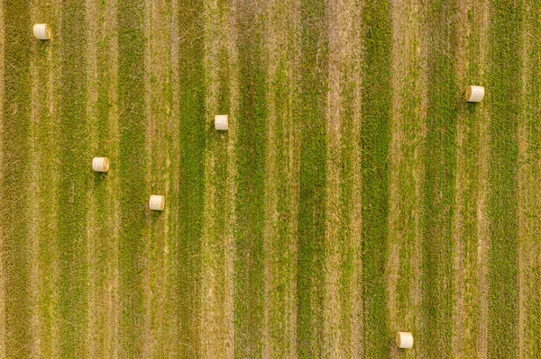 Vista Dall Alto Balle Fieno Campo Agricolo Dopo Raccolto Con — Foto Stock