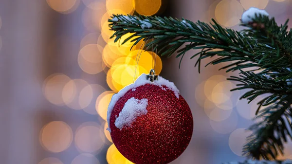 Decoraciones Coloridas Las Ramas Cubiertas Nieve Del Árbol Navidad Fondo —  Fotos de Stock