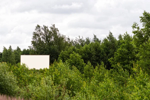 Stor Tom Skylt För Utomhusreklam Motorvägen Tom Skylt Naturen Vid — Stockfoto