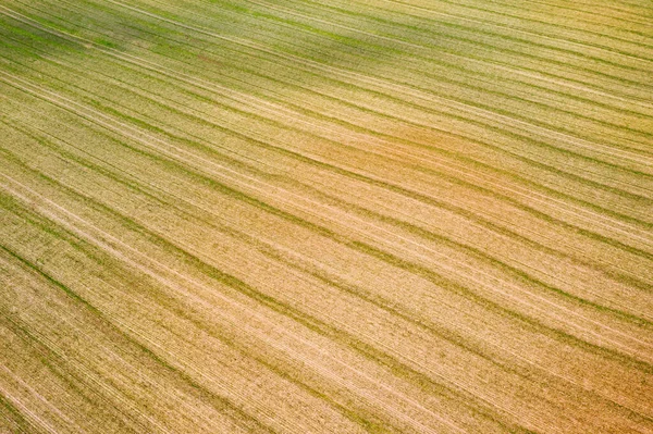 Campo Agrícola Cultivado Con Rayas Olas Patrón Paisaje Abstracto Espacio —  Fotos de Stock