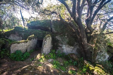 Domus De Janas, tarih öncesi mezar yapıları