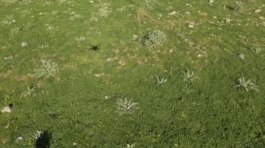 el tutma iniş drone