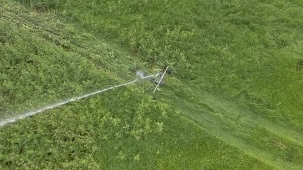 Sprinkler irrigatie van bovenaf gezien met Drone — Stockvideo