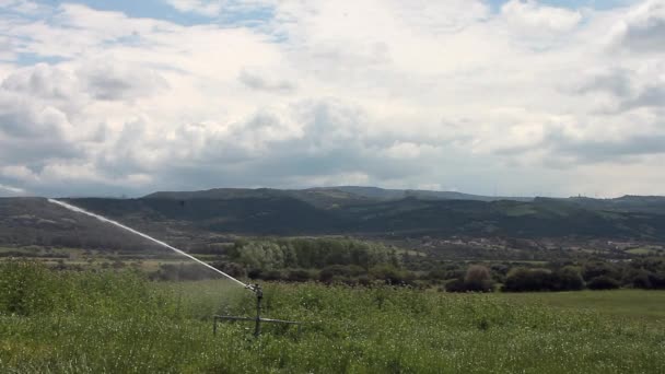 Sprinkler irrigatie van bovenaf gezien met Drone — Stockvideo