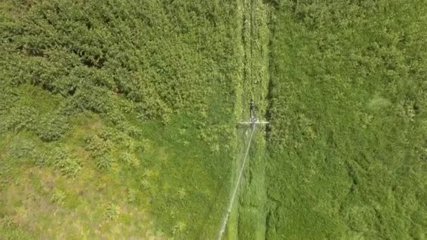 Nawadnianie zraszaczy widziane z góry z dronem — Wideo stockowe