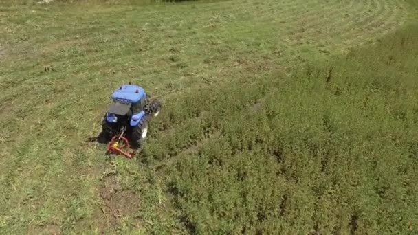 4ojo de pájaro de la cortadora de tractores en funcionamiento que corta la hierba en el campo de la agricultura — Vídeo de stock