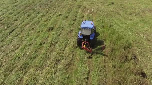 12bird Eye av traktor gräsklippare i drift som klipper gräset på jordbruksområdet — Stockvideo