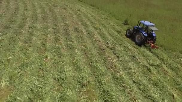 7ojo de pájaro de la cortadora de tractores en funcionamiento que corta la hierba en el campo de la agricultura — Vídeos de Stock