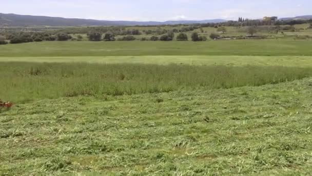 9bird Eye av traktor gräsklippare i drift som klipper gräset på jordbruksområdet — Stockvideo