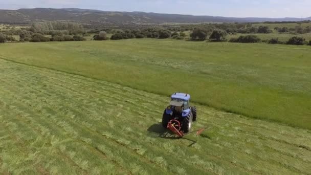 14madárszem a traktor fűnyíró működik, hogy csökkenti a füvet a mezőgazdaság területén — Stock videók