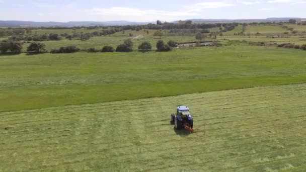 13bird olho de cortador de trator em operação que corta a grama no campo da agricultura — Vídeo de Stock