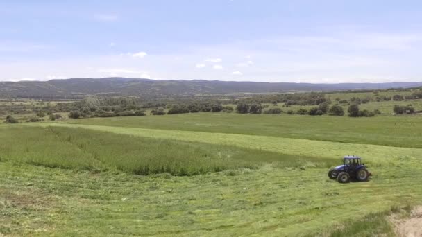 Ojo de pájaro de la cortadora de tractores en funcionamiento que corta la hierba en el campo de la agricultura — Vídeos de Stock