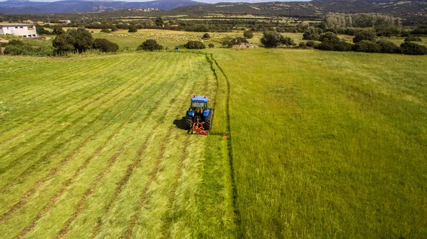 bird eye of tractor mower in operation that cuts the grass in the field of agriculture