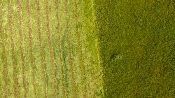 Bird Eye Tractor Mower Operation Cuts Grass Field Agriculture — Stock Photo, Image