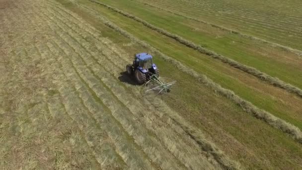 干し草を回す干し草の熊手トラクター — ストック動画