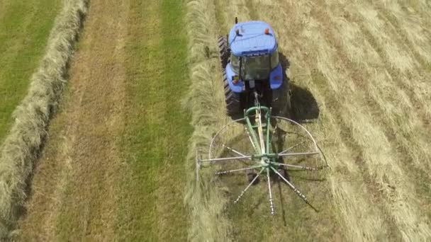 Трактор с граблями, переворачивающий сено — стоковое видео