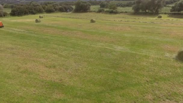 Oeil d'oiseau de l'homme au travail sur le tracteur avec presse à foin — Video