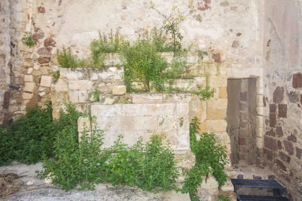 Ruine Une Cathédrale Sardaigne Martis — Photo