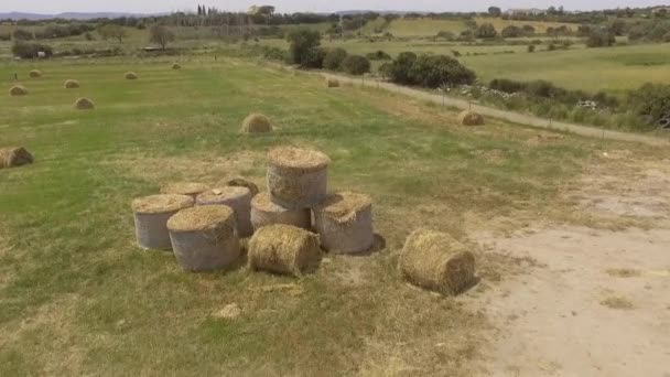 Vogelperspektive Luftaufnahme von Heuballen — Stockvideo