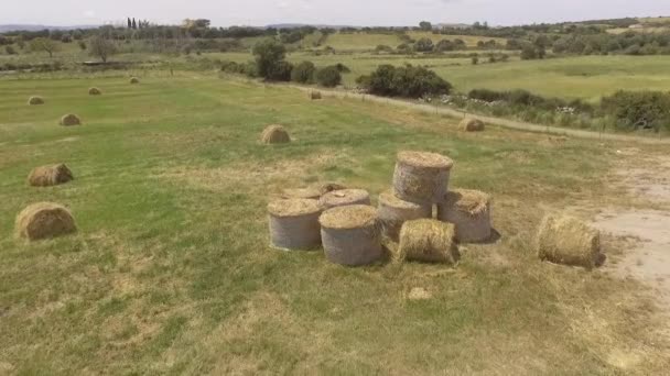 Oeil d'oiseau vue aérienne de balle de foin — Video