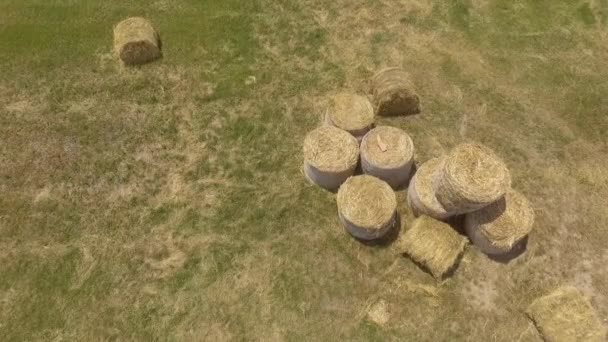 Вид с высоты птичьего полета на сено — стоковое видео