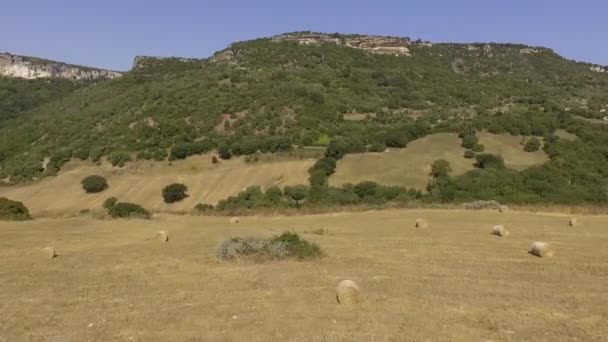 Aerial view, bird eye of the ancient ruin church in the middle of fields with hay bales — Stock Video