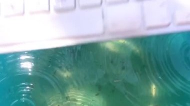 beyaz kablosuz bilgisayar klavyesi yavaş çekimde su püskürtme görünümü içine düşüyor