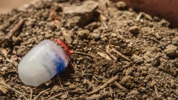 2 κατεψυγμένα πλαστικά πώματα που λιώνουν στο έδαφος — Αρχείο Βίντεο