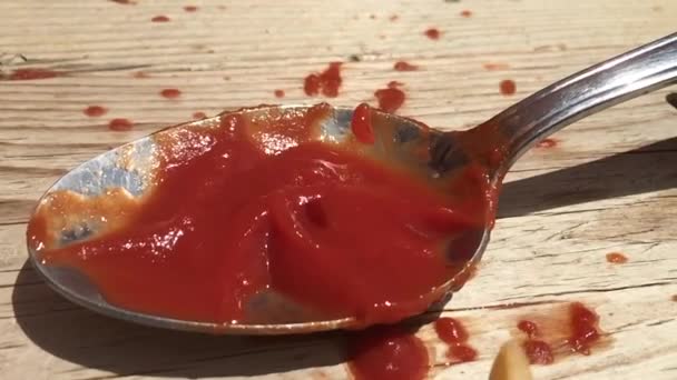 Pasta vallen op een lepel tomatensaus gezien in slow motion — Stockvideo