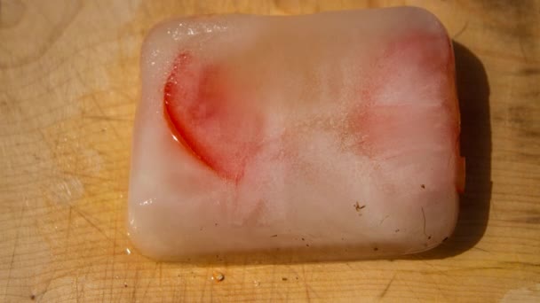 Fetta congelata di pomodoro che si scioglie — Video Stock