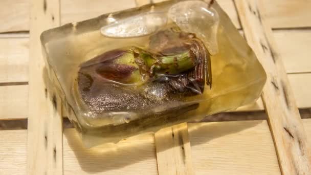 Dos rebanadas de alcachofa congelada que se derrite lentamente visto en el lapso de tiempo — Vídeos de Stock