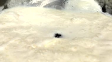 Böğürtlen krem içine düşen, yavaş hareket büyük bir sıçrama görünümü oluşturma