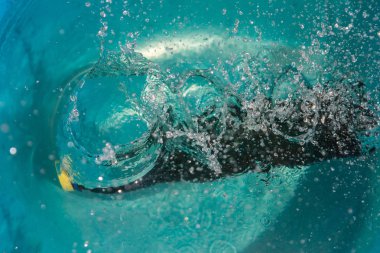 plastik şişe suya düşen sıçramaları yapma ve damla püskürtme