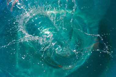 plastik şişe suya düşen sıçramaları yapma ve damla püskürtme