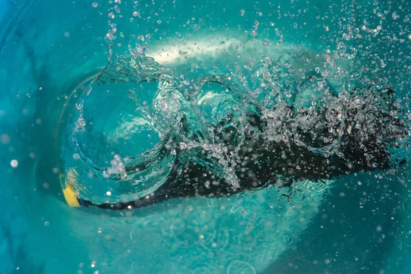 Bottiglia Plastica Che Cade Nell Acqua Facendo Spruzzi Spruzzando Gocce — Foto Stock