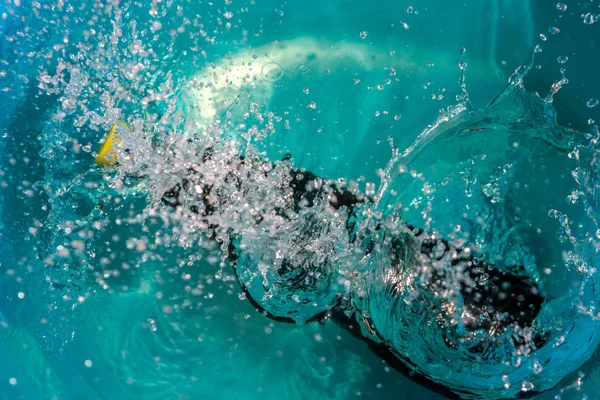 plastik şişe suya düşen sıçramaları yapma ve damla püskürtme