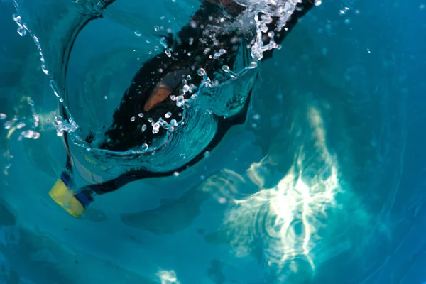 Пластиковая Бутылка Падает Воду Делая Брызги Брызги — стоковое фото