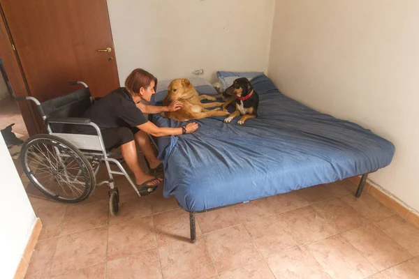 disabled girl in a wheel chair in everyday life going to sleep with her beloved dogs