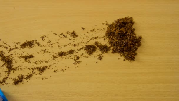 Stop motion of rolling tobacco that forms cigarettes with filters — Stock Video