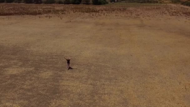 无人驾驶飞机俯瞰着快乐的女孩在干旱的田野里飞奔，双手高举天空作为自由的象征 — 图库视频影像