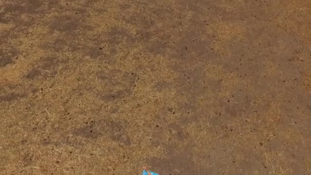 Vista aérea da menina feliz deitada com toalha sozinha em um campo árido com as mãos no céu como um símbolo de liberdade — Vídeo de Stock