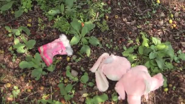 Svinga som stenar ensam efter kidnappningen av en liten flicka lämnar rosa jacka och en stövel med sin favorit rosa marionett bredvid — Stockvideo