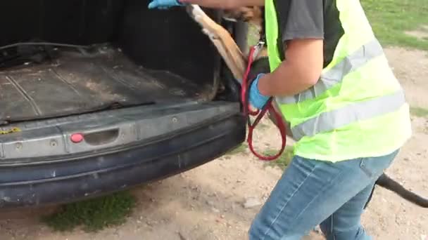 K9 drogový pes najít drogovou tašku v zadní kapotě auta v doprovodu policisty — Stock video
