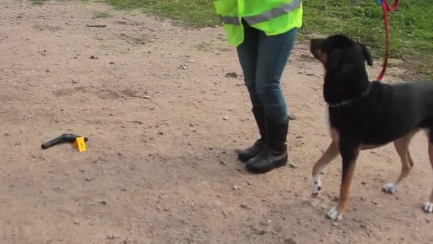 K9 knarkhund hitta drogpåse i bakluvan på bilen tillsammans med polis — Stockvideo