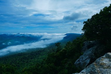 Dağ ve sis ağaç ve taş, Pa Hin Ngam Milli Parkı, görünüm noktası görünümünü. Chaiyaphum Tayland.