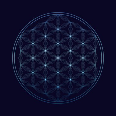 Flower of life vector  icon clipart