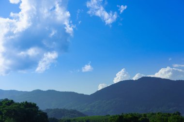 Kopya alanı ile arka planda mavi gökyüzü gün beyaz kabarık bulutlar ile Tayland Güzel orman ve dağ. Peyzaj için.