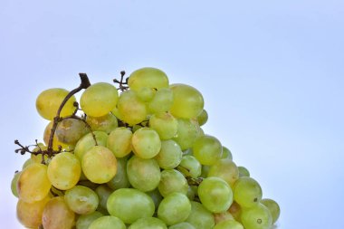 beyaz sulu olgun üzüm 